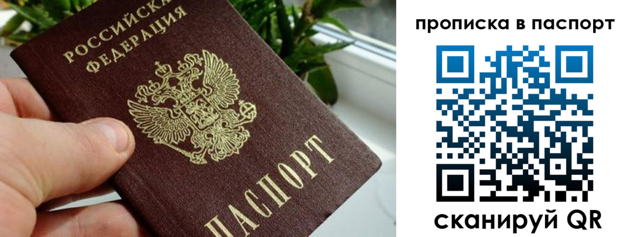 временная регистрация поиск в Геленджике