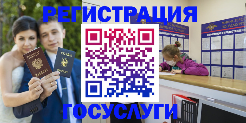 прописка поиск в Геленджике